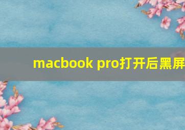 macbook pro打开后黑屏